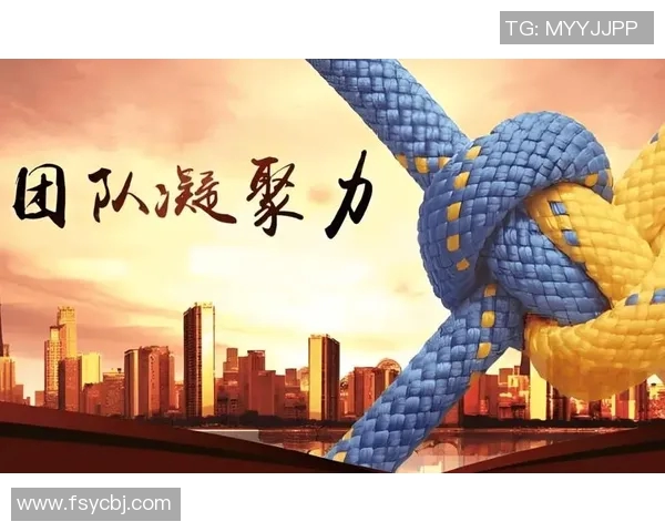 团队协作，共创美好未来