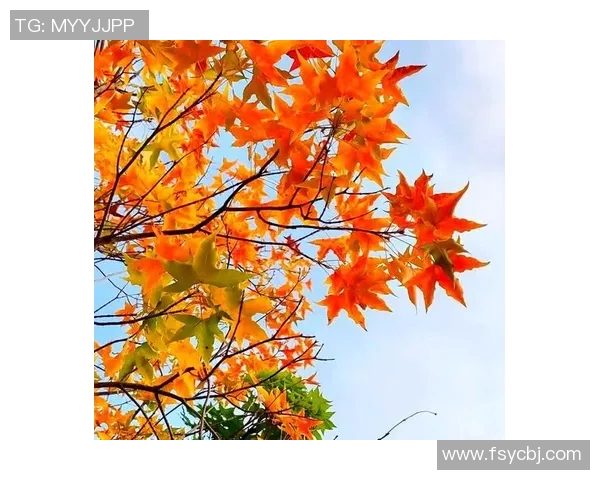 捕捉光影间的瞬息之美探索写真摄影艺术中的细节与情感表达