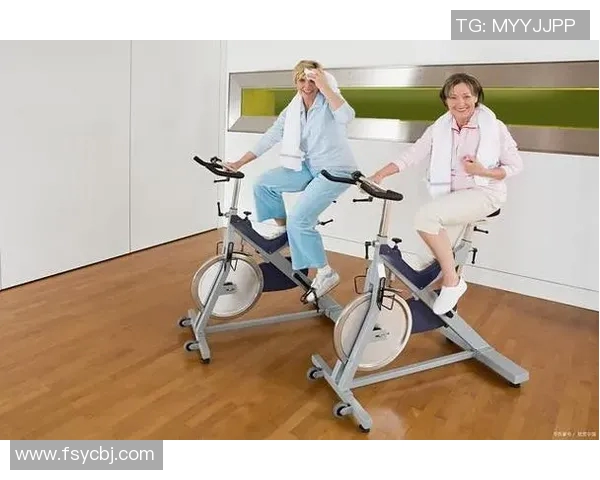 老人室内健身器材：适合老年人使用的室内健身器材