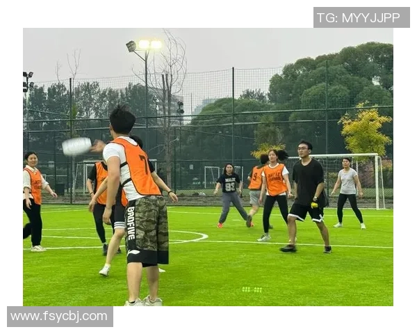 飞盘个人能力排行榜揭晓北京飞盘队荣登第五名引发关注